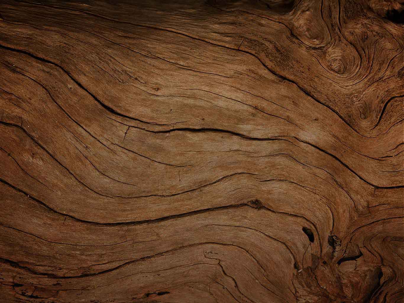 Greenlam - Wooden Flooring Company India