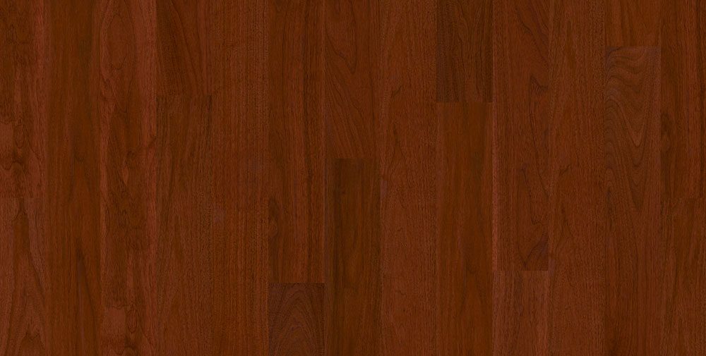 NUSSBAUM ROJA 3