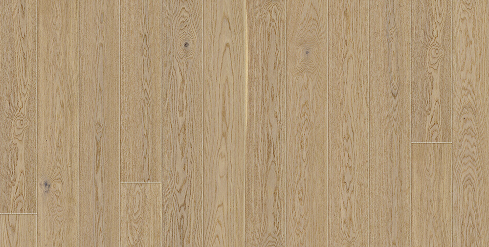 OAK WINTER 4